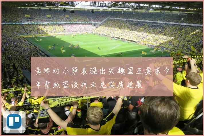 黄蜂对小萨表现出兴趣国王要求今年首轮签谈判未见实质进展